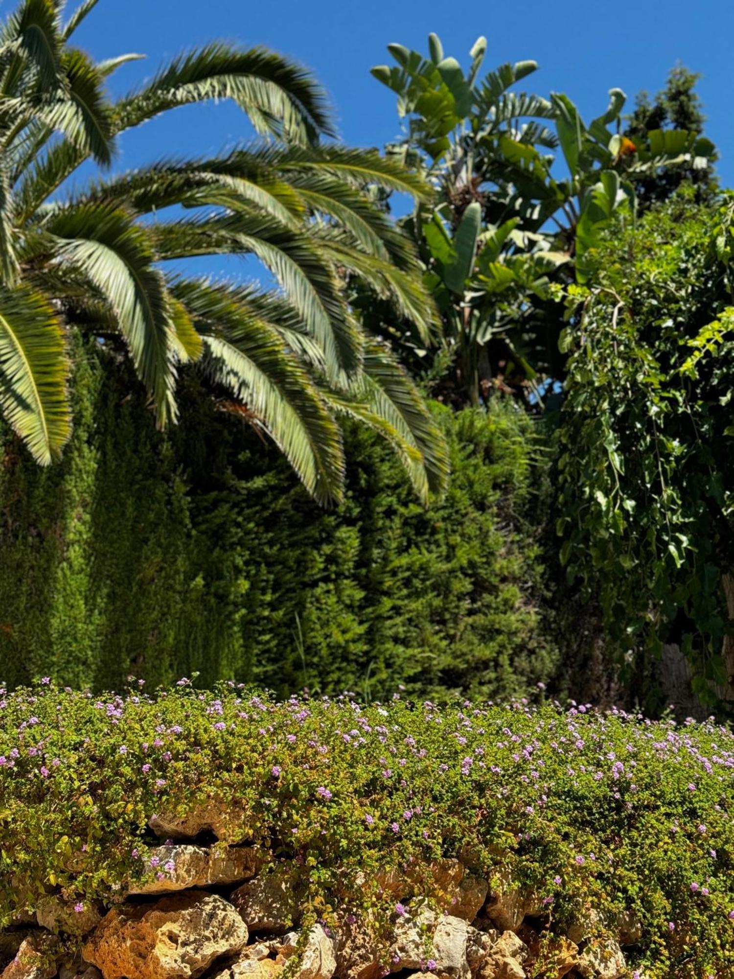 Marbella Bliss - Luxury 4-Bedroom Villa With Garden, Private Pool & Jacuzzi, Marbesa Near- 5 Min To The Cabopino Beach Villa